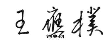 骆恒光王应朴草书个性签名怎么写