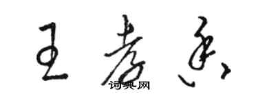 骆恒光王孝香草书个性签名怎么写