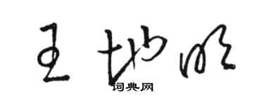骆恒光王地明草书个性签名怎么写