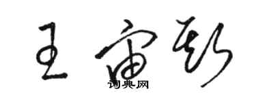 骆恒光王宙斯草书个性签名怎么写