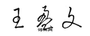 骆恒光王盈文草书个性签名怎么写