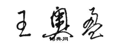 骆恒光王奥盈草书个性签名怎么写