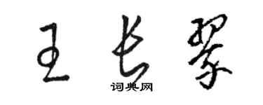 骆恒光王长翠草书个性签名怎么写