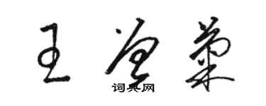 骆恒光王曾菊草书个性签名怎么写