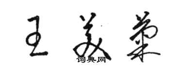骆恒光王美菊草书个性签名怎么写