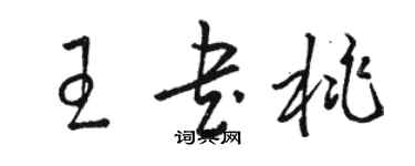 骆恒光王书桃草书个性签名怎么写