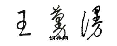 骆恒光王蔓漫草书个性签名怎么写