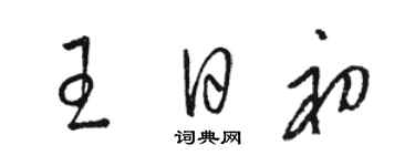 骆恒光王日初草书个性签名怎么写