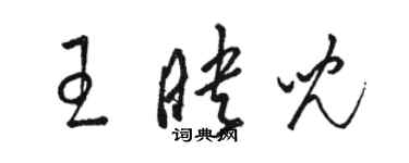 骆恒光王映儿草书个性签名怎么写