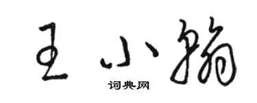 骆恒光王小翰草书个性签名怎么写