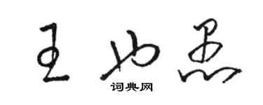 骆恒光王也愚草书个性签名怎么写