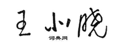 骆恒光王北晓草书个性签名怎么写