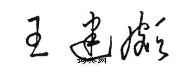 骆恒光王建颇草书个性签名怎么写