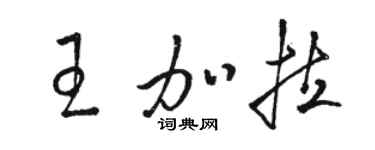 骆恒光王加拉草书个性签名怎么写