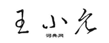 骆恒光王小允草书个性签名怎么写
