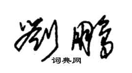 朱锡荣刘鹏草书个性签名怎么写