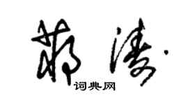 朱锡荣蒋涛草书个性签名怎么写