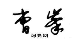 朱锡荣曹峰草书个性签名怎么写