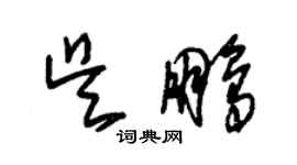 朱锡荣吴鹏草书个性签名怎么写