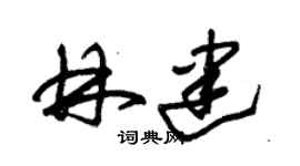 朱锡荣林建草书个性签名怎么写