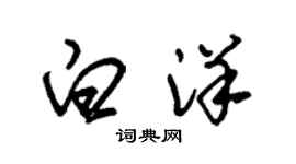 朱锡荣白洋草书个性签名怎么写