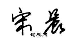 朱锡荣宋晨草书个性签名怎么写