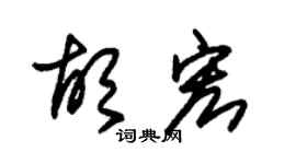 朱锡荣胡宏草书个性签名怎么写