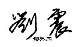 朱锡荣刘震草书个性签名怎么写