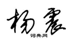 朱锡荣杨震草书个性签名怎么写