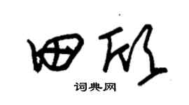 朱锡荣田欣草书个性签名怎么写