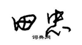 朱锡荣田忠草书个性签名怎么写