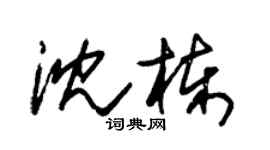 朱锡荣沈栋草书个性签名怎么写