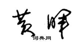 朱锡荣黄晖草书个性签名怎么写