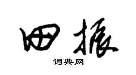 朱锡荣田振草书个性签名怎么写