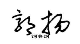朱锡荣郭扬草书个性签名怎么写