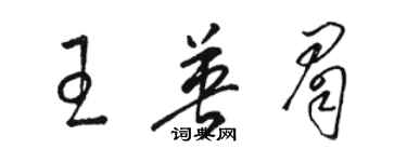 骆恒光王英眉草书个性签名怎么写