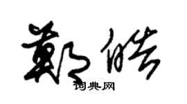 朱锡荣郑皓草书个性签名怎么写