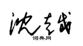 朱锡荣沈越草书个性签名怎么写