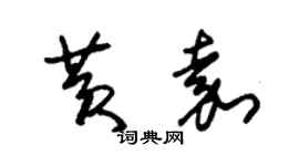 朱锡荣黄嘉草书个性签名怎么写