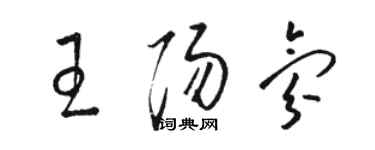 骆恒光王阳氛草书个性签名怎么写