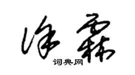 朱锡荣徐霖草书个性签名怎么写