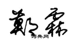 朱锡荣郑霖草书个性签名怎么写