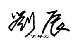 朱锡荣刘辰草书个性签名怎么写