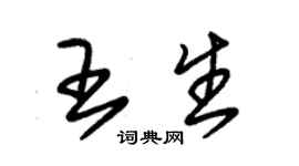 朱锡荣王生草书个性签名怎么写