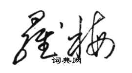 骆恒光罗梅草书个性签名怎么写