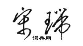 骆恒光宋瑞草书个性签名怎么写