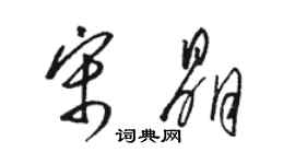 骆恒光宋晶草书个性签名怎么写