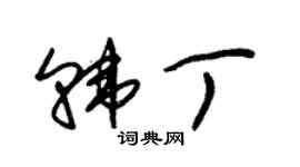 朱锡荣韩丁草书个性签名怎么写