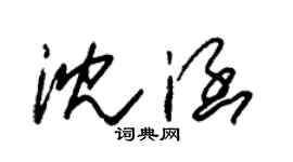 朱锡荣沈涵草书个性签名怎么写