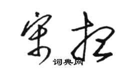 骆恒光宋想草书个性签名怎么写